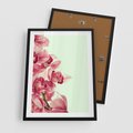 Plakat w ramie 50x70 - Orchidea - delikatne kwiaty - orchidea, kwiaty - rama czarna