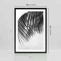 Plakat w ramie 50x70 - Czarno-Biały Kontrast - czarno białe zdjecie, palma - rama czarna