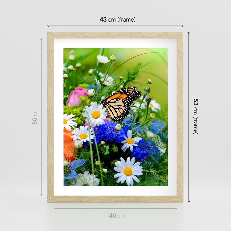 Plakat w ramie 40x50 - Kwiatowy Taniec - motyl, kwiaty - rama drewno