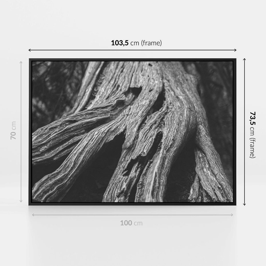 Obraz w ramie 100x70 - Siła Natury - czarno biała fotografia, korzenie wielkiego drzewa - rama czarna