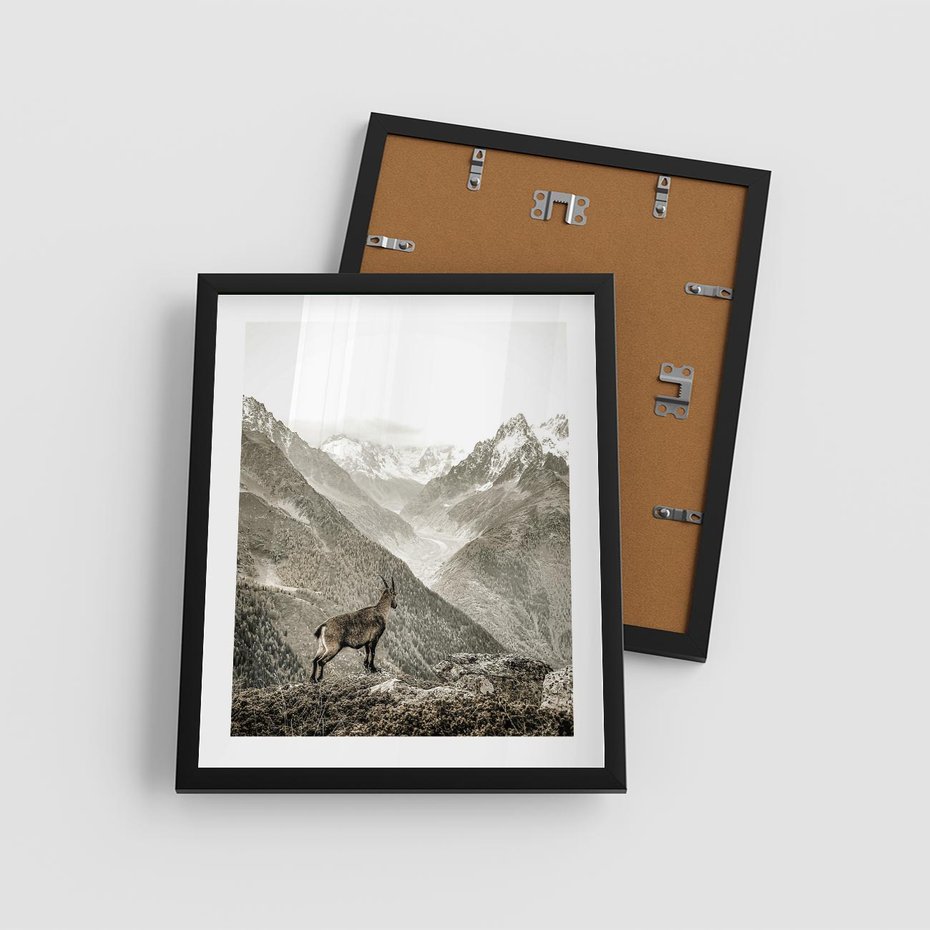 Plakat w ramie 40x50 - Dzikie Piękno: Kozica w Malowniczym Górskim Scenerii - kozica, góry - rama czarna