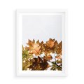 Plakat w ramie 50x70 - Suche Żółte Liście w Malowniczym Ujęciu - liście, żółte - rama biała