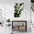 Plakat bez ramy 21x30 - Zielone eukaliptusy - eukaliptus, liście