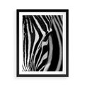Plakat w ramie 50x70 - Pasy Zebr - zebra, paski - rama czarna