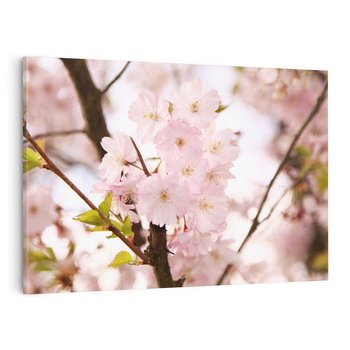 Obraz na płótnie 70x50 - Kwiatowe Różnorodnośc - kwiat, kwiaty