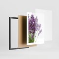 Plakat w ramie 30x40 - Pola lawendy w pełnym rozkwicie - lawenda, kwiaty - rama czarna