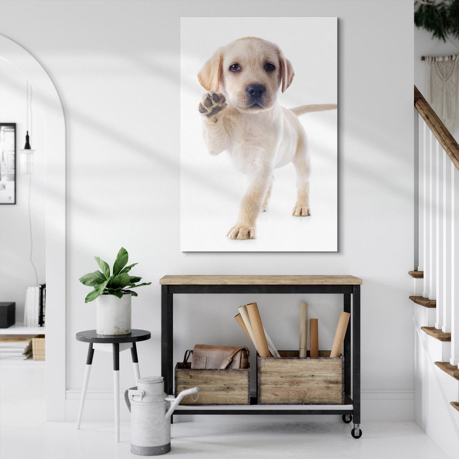 Obraz na płótnie 50x70 - Szczeniak pełen radości - piesek, szczeniak