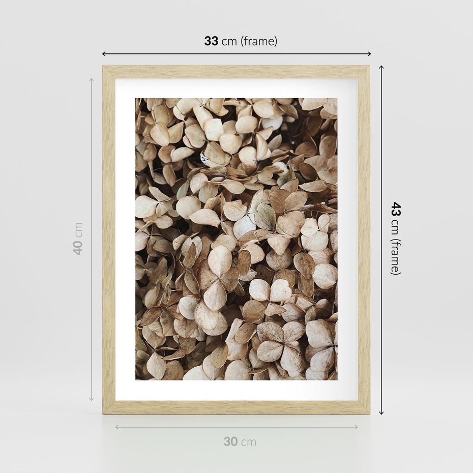 Plakat w ramie 30x40 - Delikatność Hortensji: Kompozycja Kwiatów w Beżu - hortensja, odcienie beżu - rama drewno