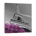Obraz na płótnie 70x70 - Urok Eiffla w Paryżu - Eiffla, Paryż
