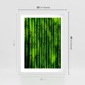 Plakat w ramie 30x40 - Bambusowy urok zielonej harmonii - bambus, zieleń - rama biała