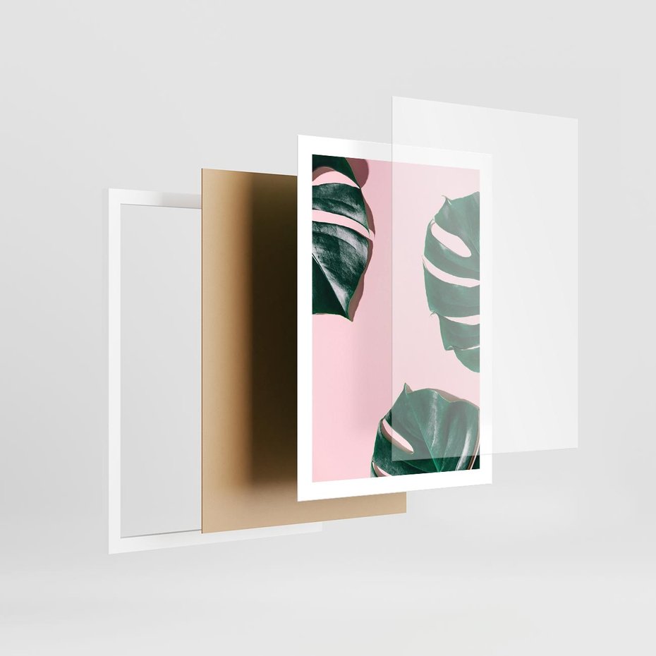 Plakat w ramie 50x70 - Siła Natury - liście, monstera - rama biała