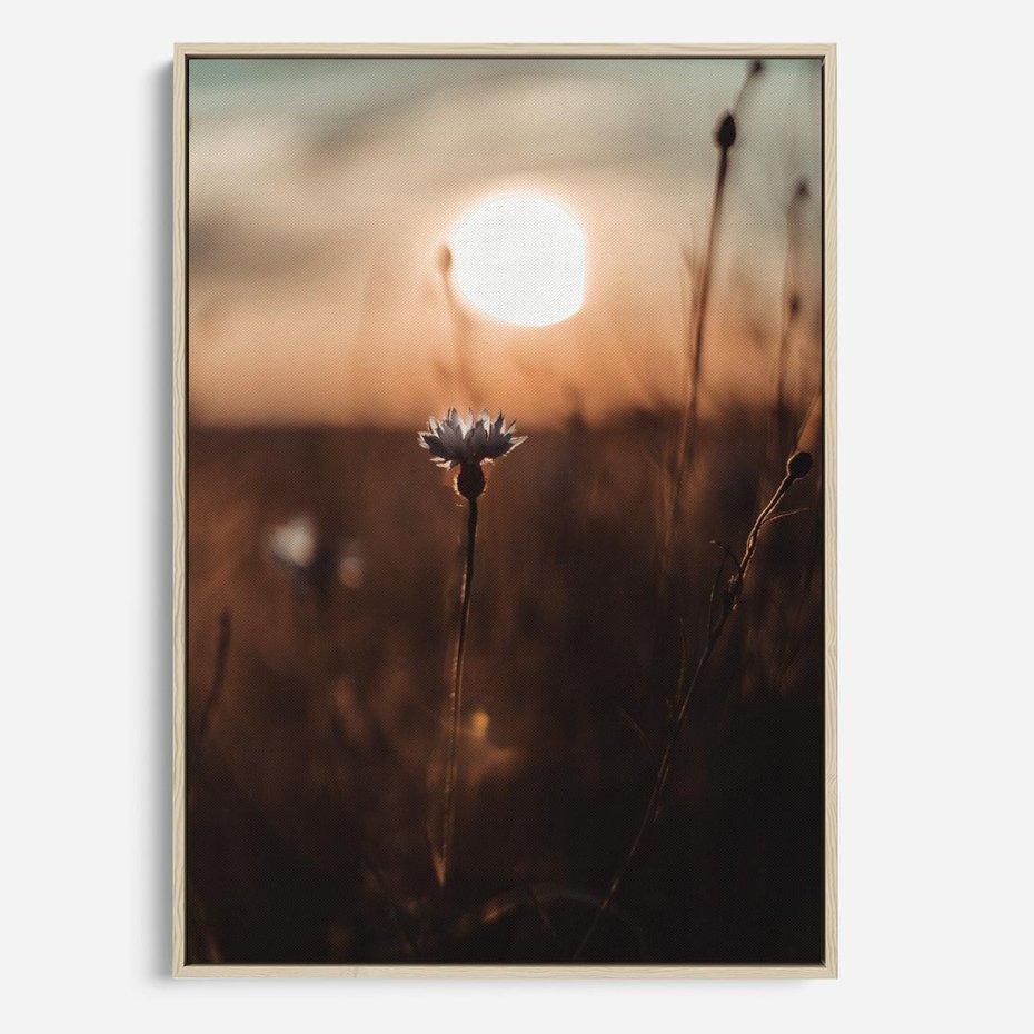 Obraz w ramie 80x120 - Spokój łąki pod zachodem słońca - zachód, słońca - rama drewno