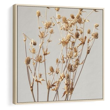 Obraz w ramie 50x50 - Delikatne gipsówki - gipsówka, suche - rama drewno