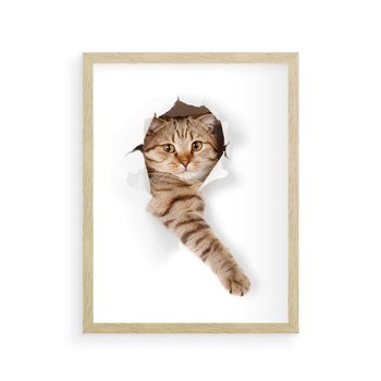 Plakat w ramie 40x50 - Kot w Dziurze - kot, dziura - rama drewno