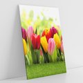 Obraz na płótnie 80x120 - delikatność kwiatowego świata - tulipany, kwiaty