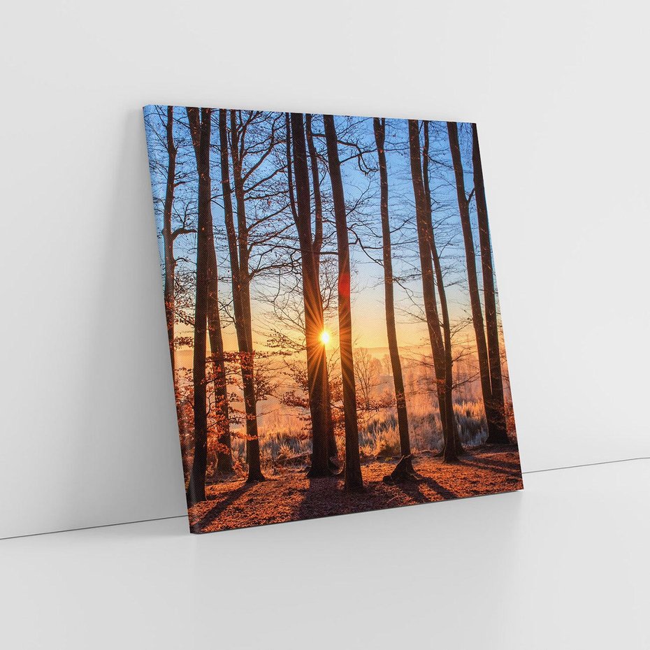 Obraz na płótnie 60x60 - Piękno lasu - las, drzewa