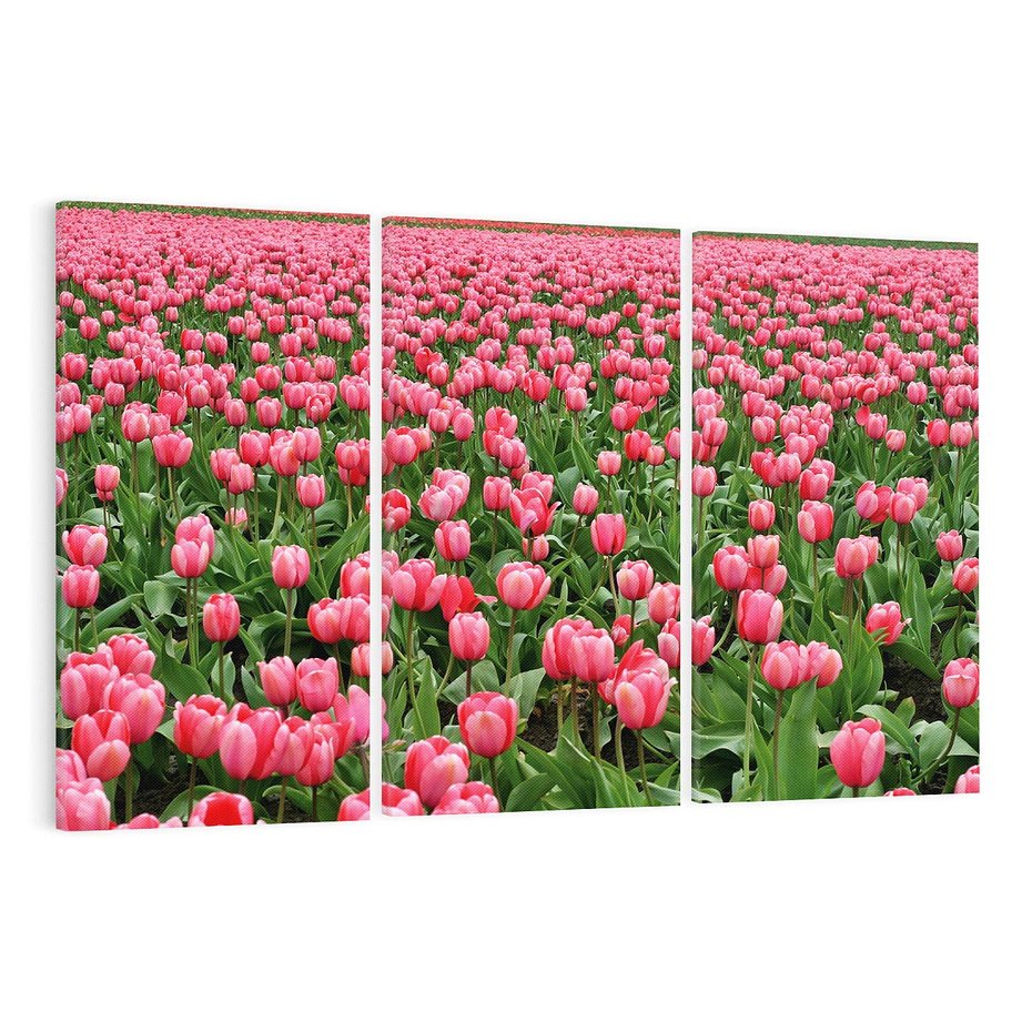 Obraz na płótnie 120x80 - Tulipanowe Elegancja - tulipany, kwiat