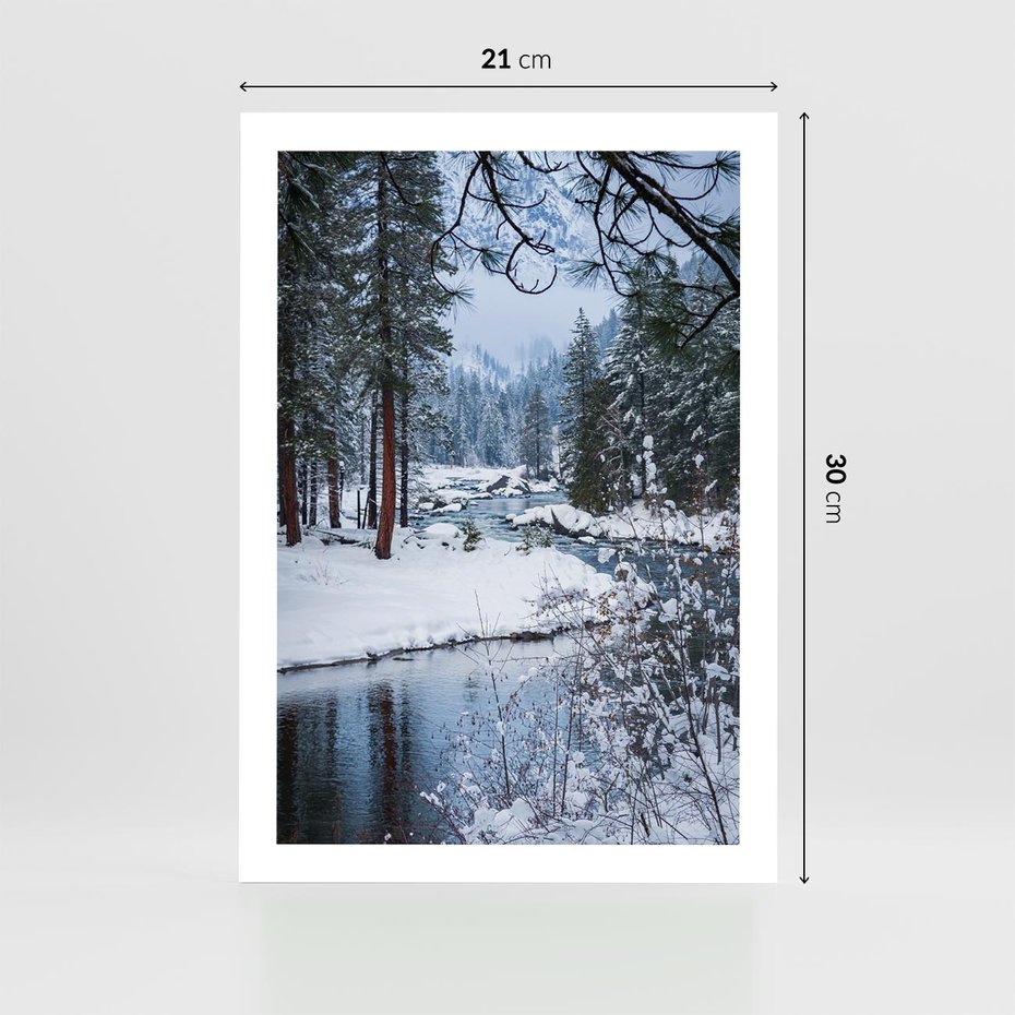 Plakat bez ramy 21x30 - Śnieżne cuda - zima, las