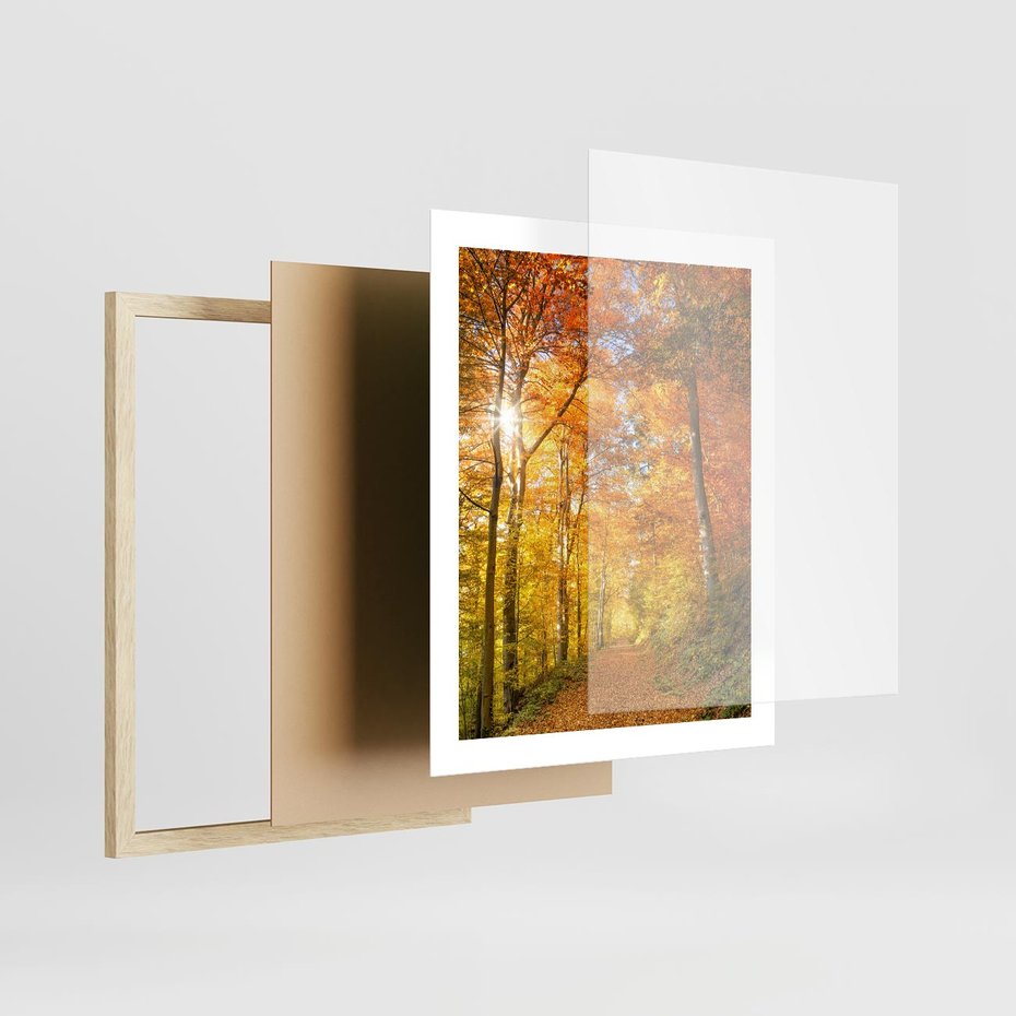 Plakat w ramie 40x50 - Złote barwy jesiennego lasu - las, jesień - rama drewno