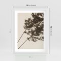 Plakat w ramie 30x40 - Tajemniczy Cień Traw - cień traw, na ścianie - rama biała