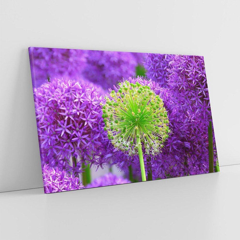 Obraz na płótnie 70x50 - Kwiatowy Raj - kwiat, kwiaty