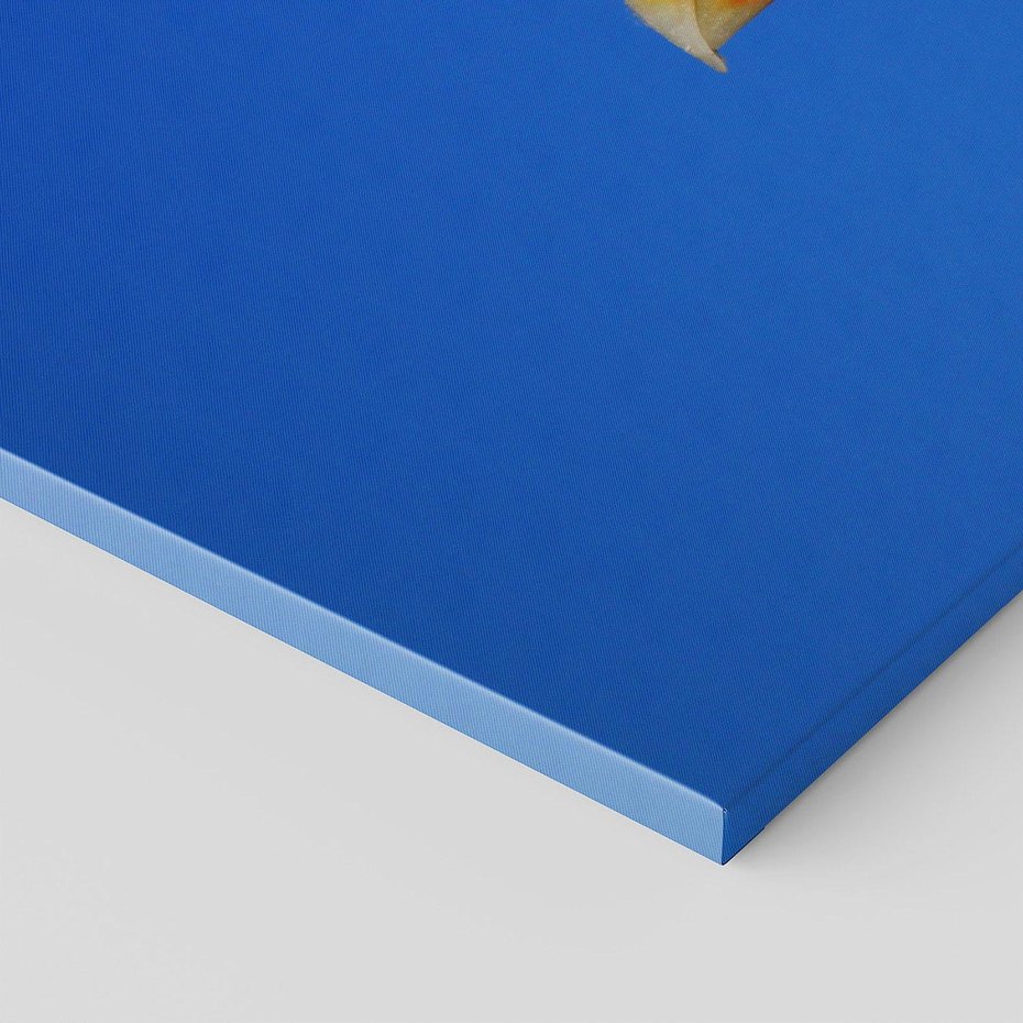 Obraz na płótnie 140x70 - Mewa nad morzem - mewa, pstak