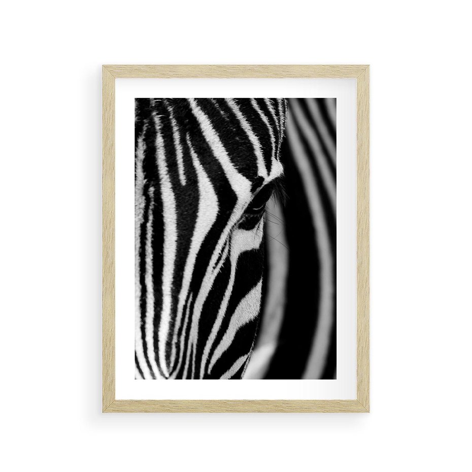 Plakat w ramie 30x40 - Pasy Zebr - zebra, paski - rama drewno