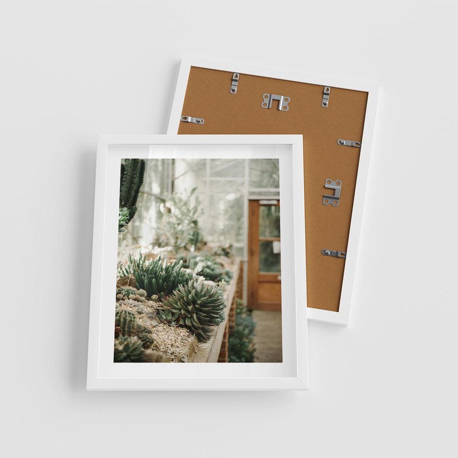 Plakat w ramie 40x50 - Sukulenty w Szklarni - sukulenty, w szklarni - rama biała