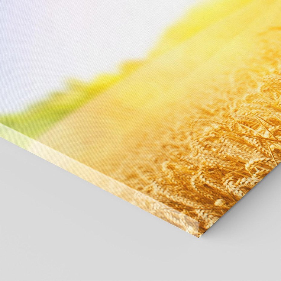 Obraz na płótnie 120x40 - Żyzne Pola - pole, pszenicy