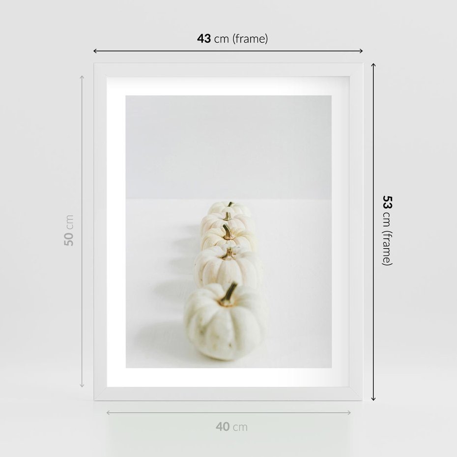 Plakat w ramie 40x50 - Białe Dynie - białe dynie, jesień - rama biała