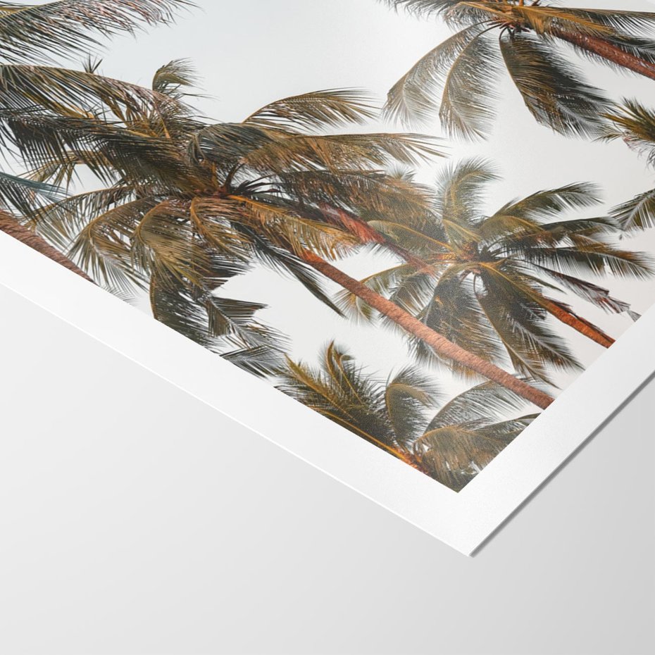 Plakat bez ramy 21x30 - Palmy - tęsknota za Hawajami - palmy, Hawaje