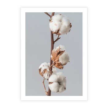 Plakat bez ramy 50x70 - Bawełniana boho miękkość - bawełna, boho