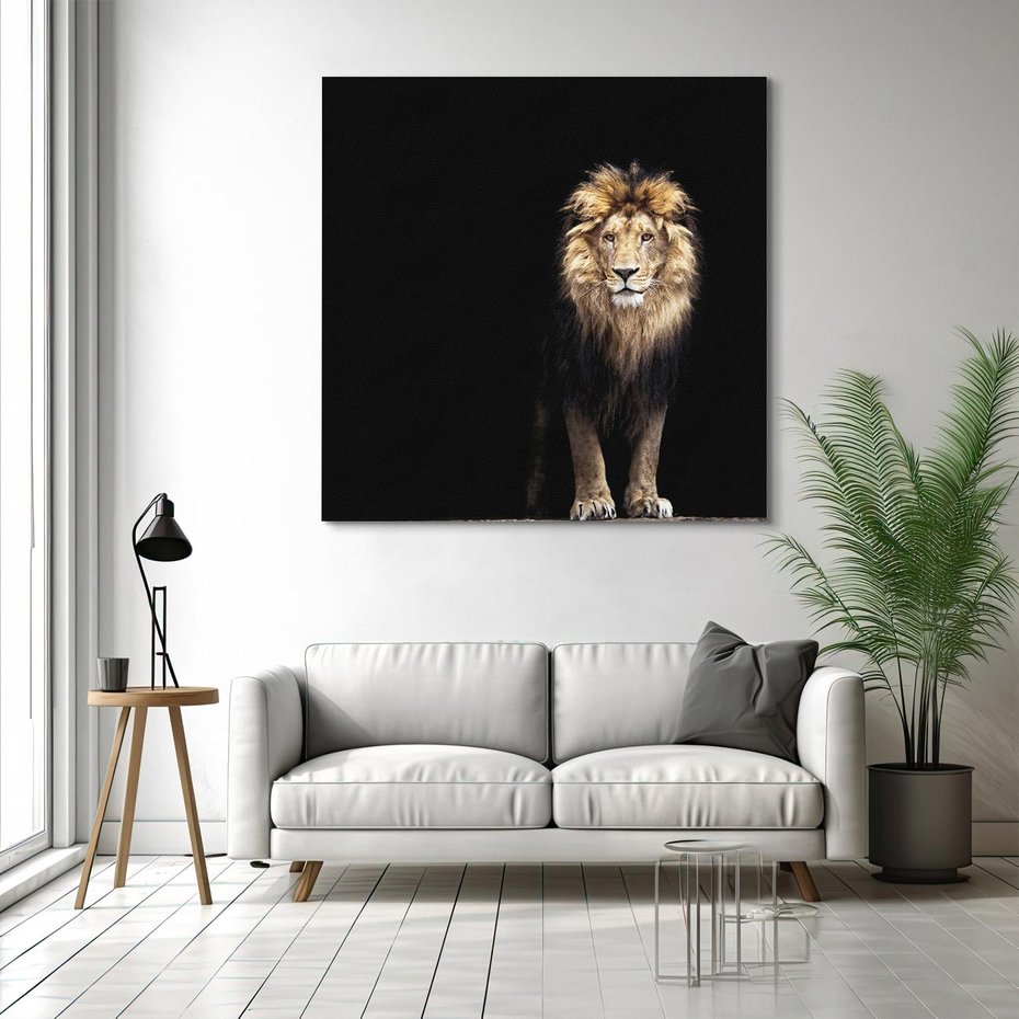Obraz na płótnie 40x40 - Lew: dzikie piękno natury - lew, dzikie