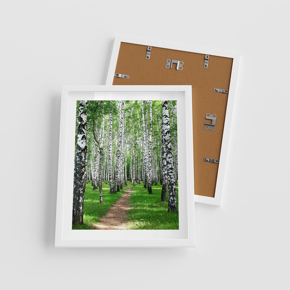 Plakat w ramie 40x50 - Bajkowy las pełen brzóz - las, brzozy - rama biała