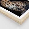 Plakat w ramie 50x70 - Elegancja Jaguarowej Pantery - jaguar, pantera - rama drewno