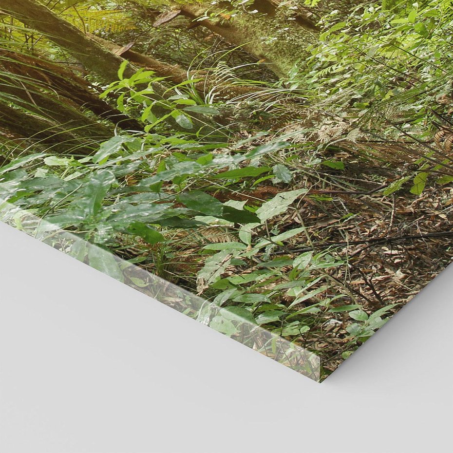 Obraz na płótnie 70x100 - Uroczysty Las Drzew - las, drzewa