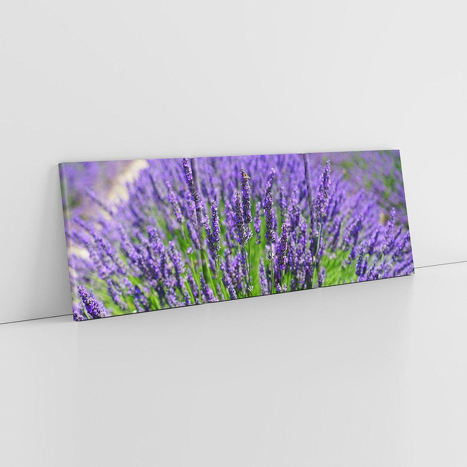 Obraz na płótnie 150x50 - Lawendowe pola piękno natury - lawenda, kwiaty