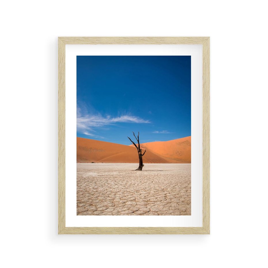 Plakat w ramie 30x40 - Słońce i Suche Drzewo - pustynia, suche - rama drewno