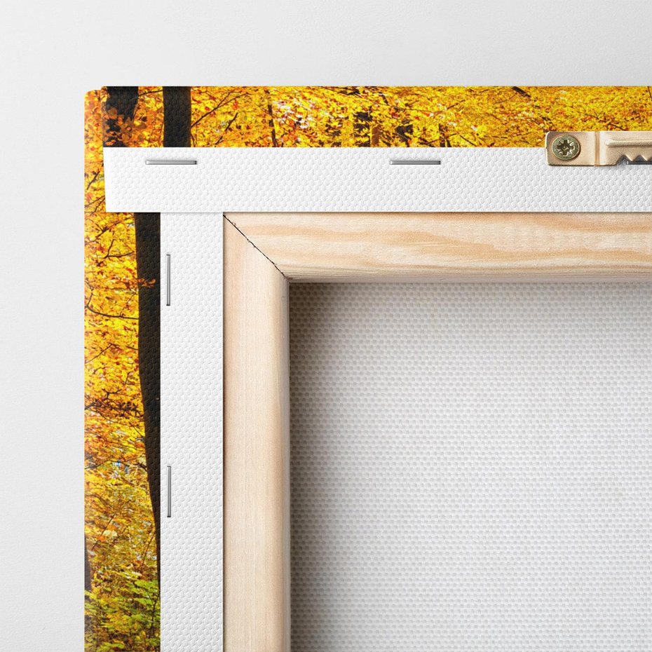 Obraz na płótnie 70x70 - Jesień w lesie - las, drzewa