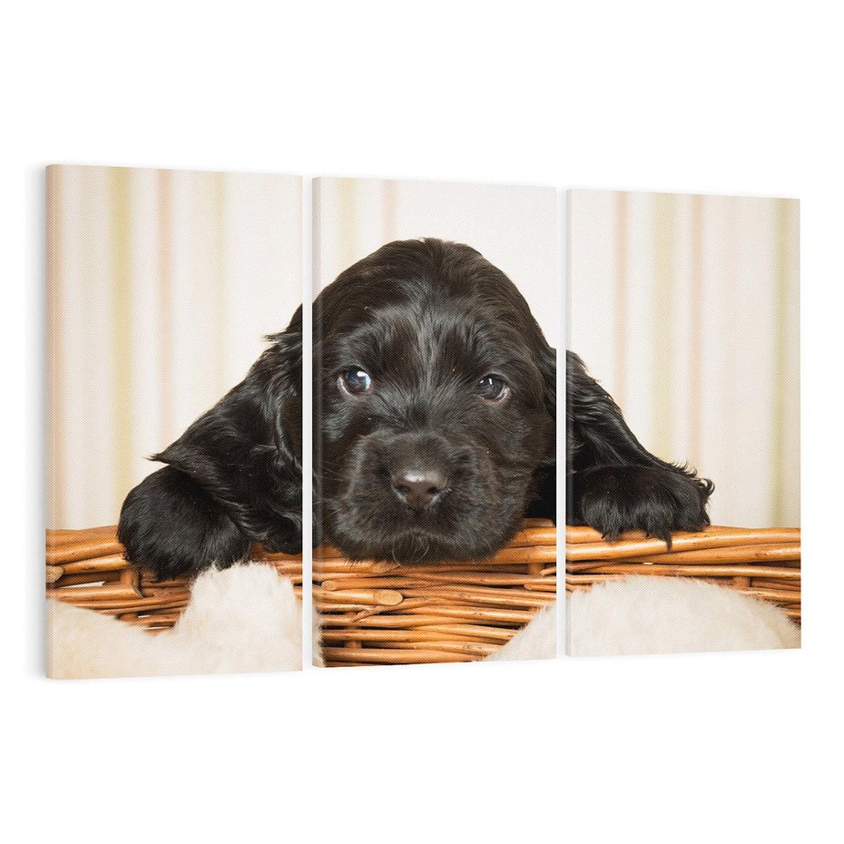 Obraz na płótnie 120x80 - Uroczy szczeniak w akcji - piesek, szczeniak