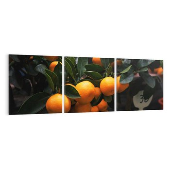Obraz na płótnie 120x40 - Mandarynki Drzewko Urodzaju - mandarynki, drzewko