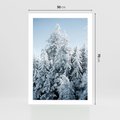 Plakat bez ramy 50x70 - Magia Śnieżnych Drzew - zima, iglaste drzewa