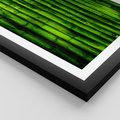 Plakat w ramie 50x70 - Bambusowy urok zielonej harmonii - bambus, zieleń - rama czarna