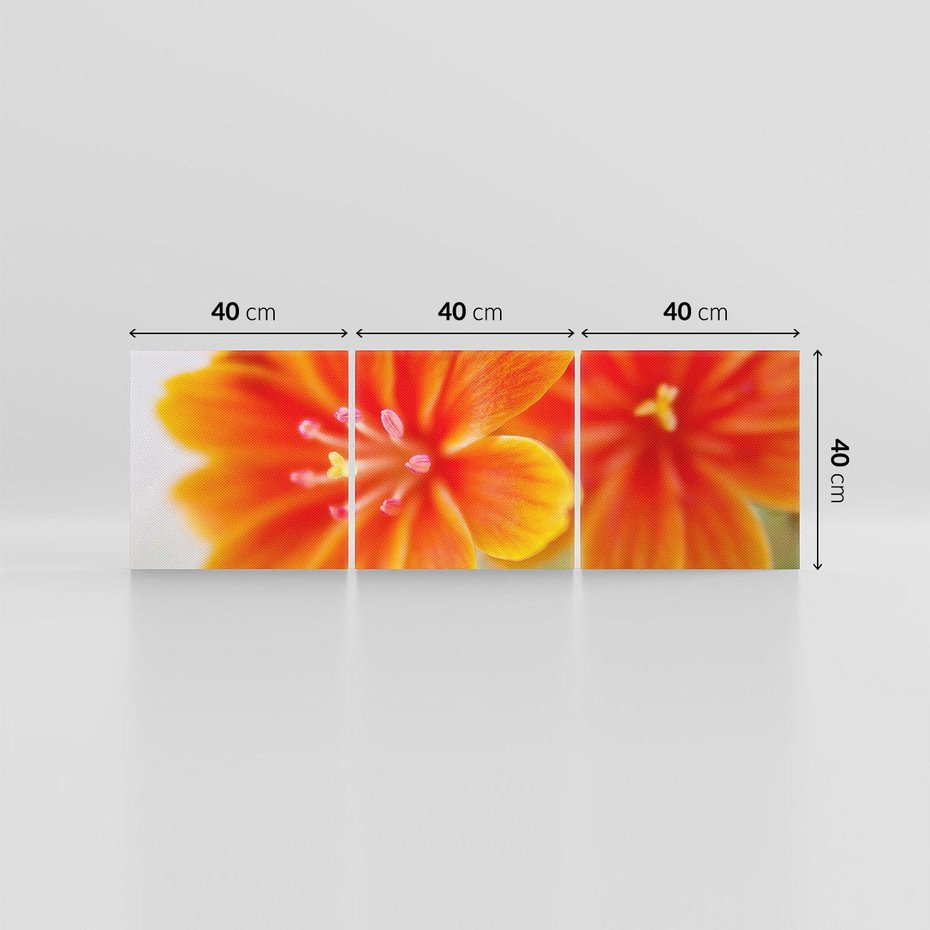 Obraz na płótnie 120x40 - Urok kwiatów - kwiat, kwiaty