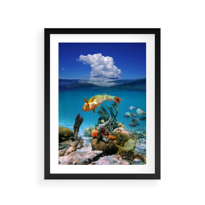 Plakat w ramie 30x40 - Podwodna rafa koralowa: kolorowy oceanowy świat - rafa, koralowa - rama czarna