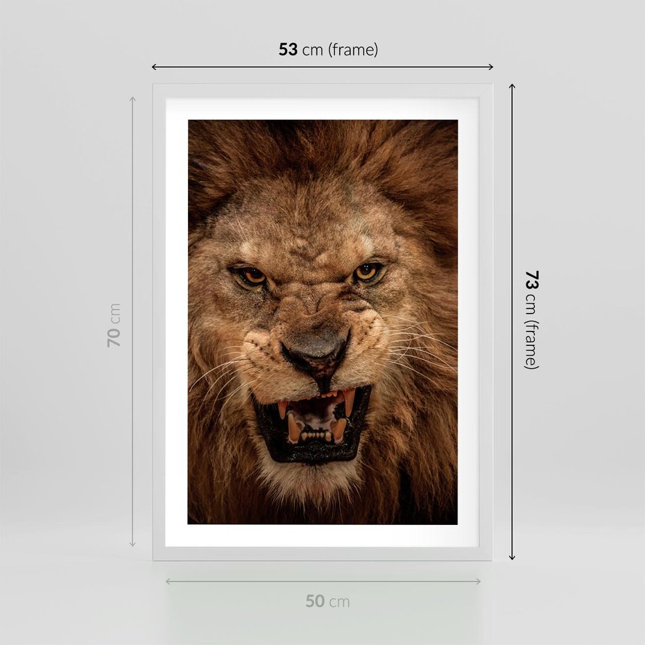 Plakat w ramie 50x70 - Władca Sawanny - lew, sawanna - rama biała