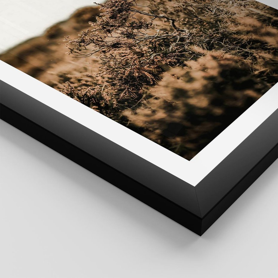 Plakat w ramie 50x70 - Krajobraz W Naturze: Beże i Brązy - suche krzewy, natura - rama czarna