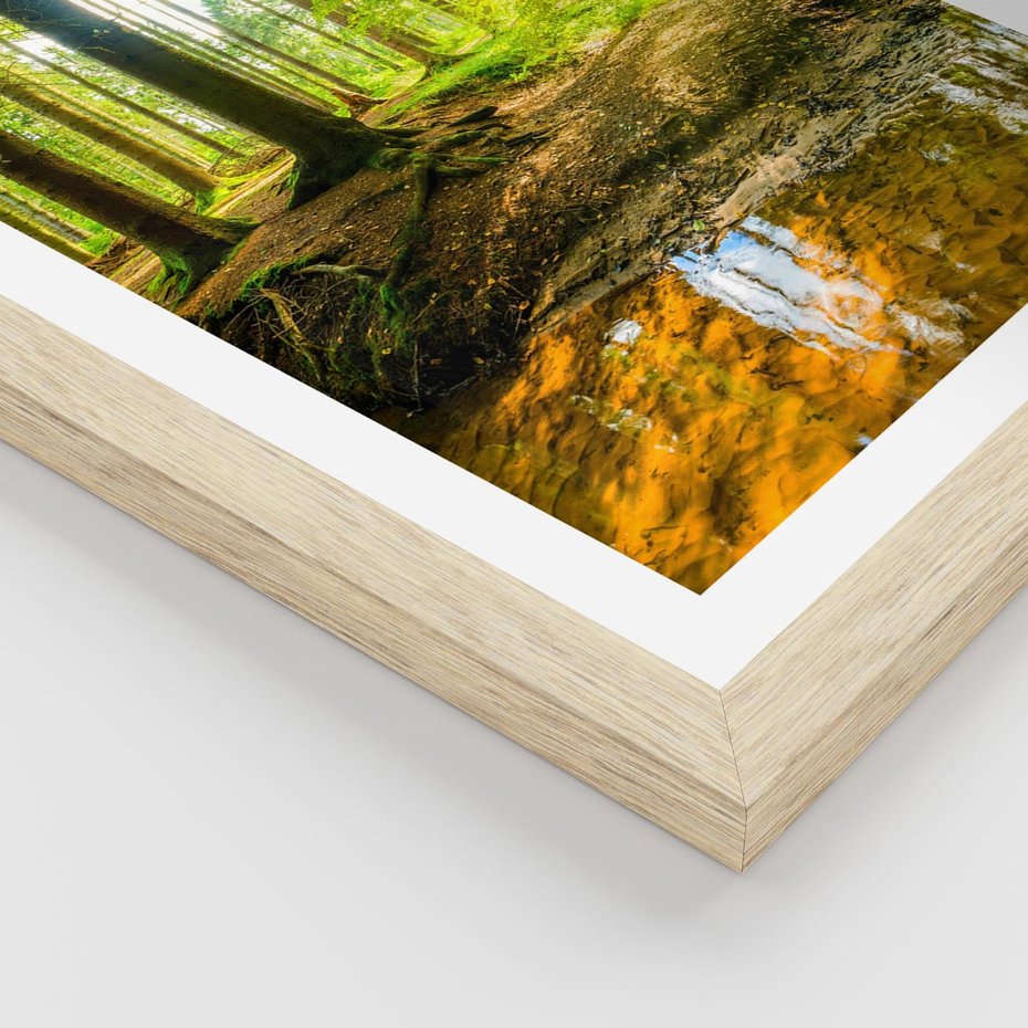 Plakat w ramie 50x70 - Las nad Wodą - las, woda - rama drewno