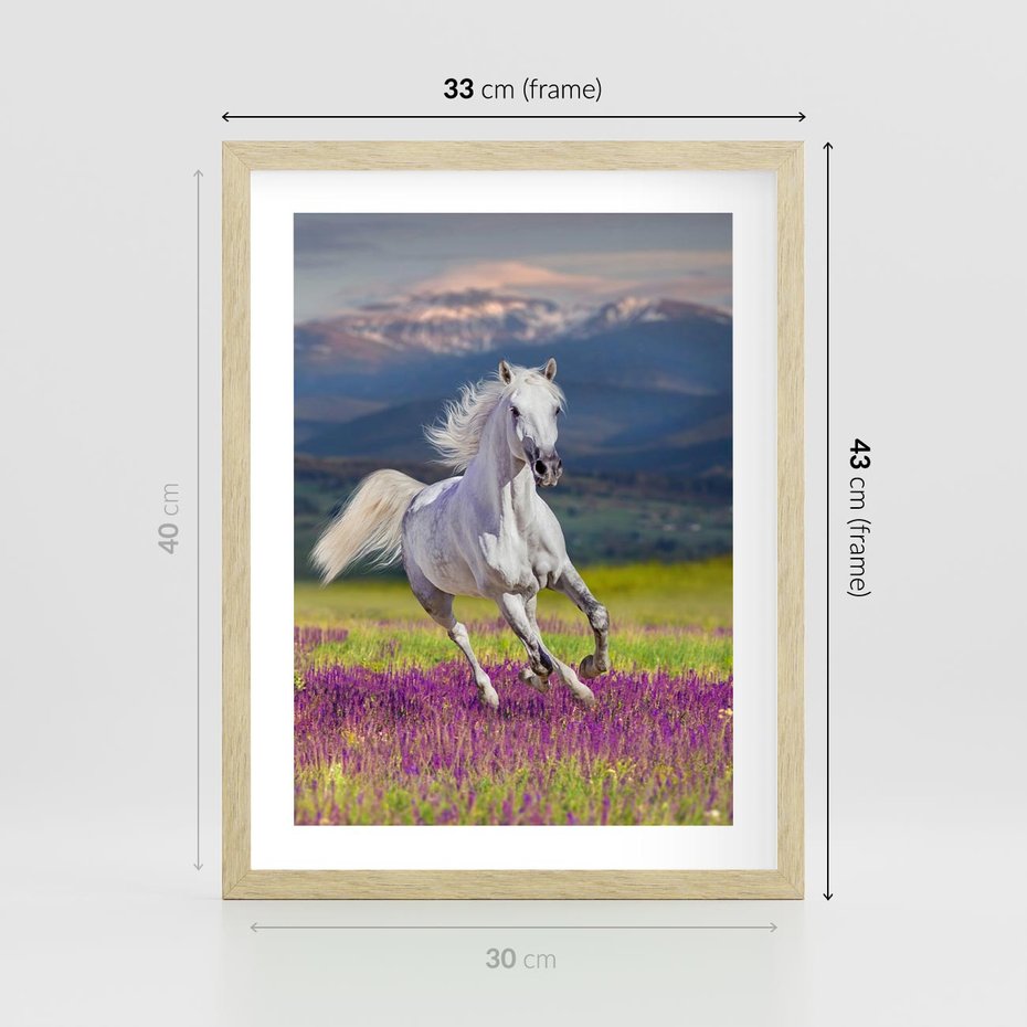 Plakat w ramie 30x40 - Koń Góry: Spotkanie z Wielką Przyrodą - koń, góry - rama drewno