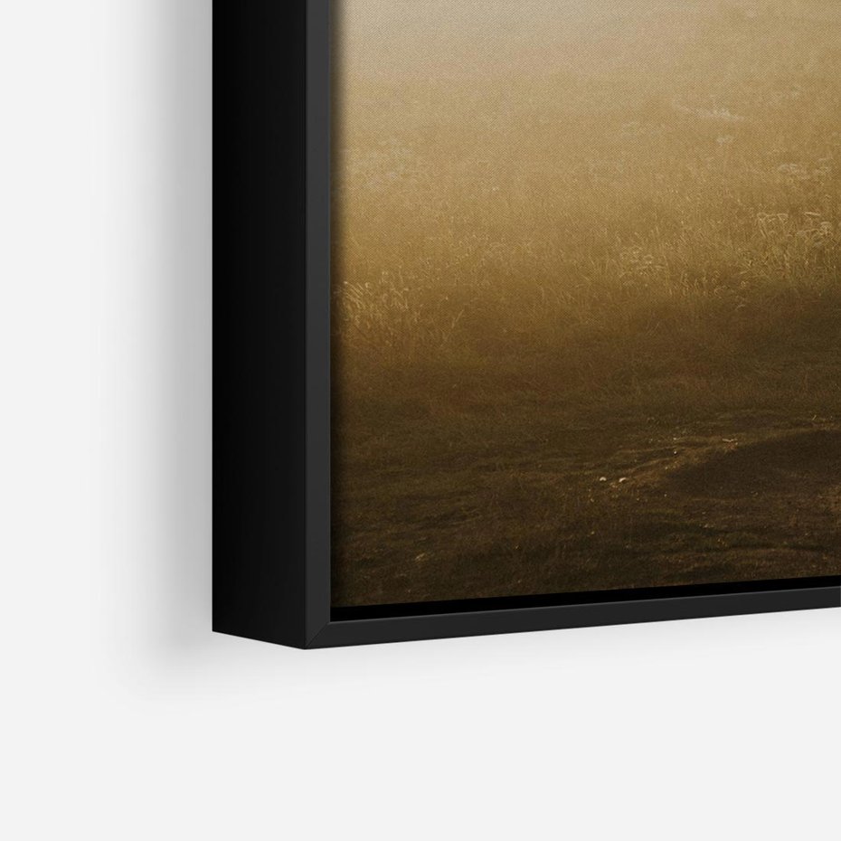 Obraz w ramie 50x50 - Mglisty zachód słońca na ławeczce - mgła, zachód - rama czarna